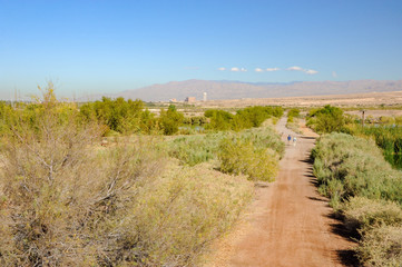 Henderson Bird Viewing Preserve, Henderson, Nevada