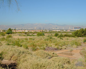 Henderson Bird Viewing Preserve, Henderson, Nevada