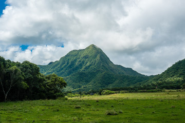 Fototapeta premium Dolina Ka'a'awa 2