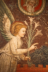 angelo dell'Annunciazione; affresco staccato di Jacopo Loschi, appartamento della Badessa, Parma