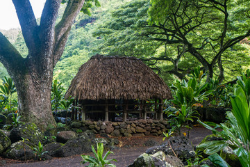 Fototapeta na wymiar Waimea Valley Hawaiian Huts 4