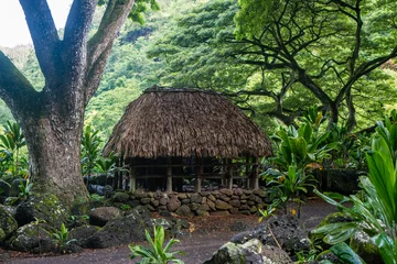 Fototapeten Waimea Valley Hawaiian Huts 4 © Andrew
