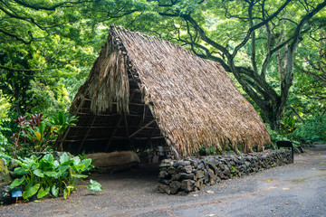 Waimea Valley Hawaiian Huts 1