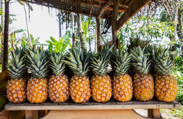 Pineapples on a market in costa rica