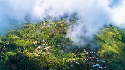 Aerial. Famous green tea plantation landscape view from Lipton's Seat, Haputale, Sri Lanka.