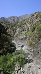 Fototapeta na wymiar Wanderung durch den Barranco de Las Angustias
