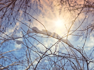 Winter scenery