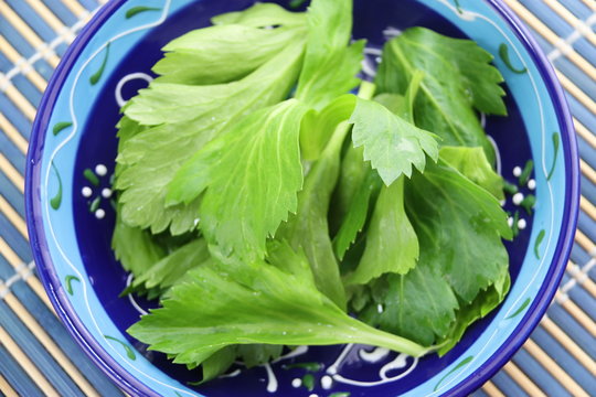 Feuilles de c&eacute;leris