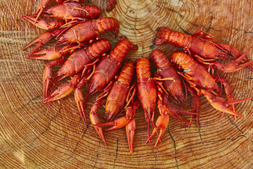 Crawfish cooked and served on wooden background