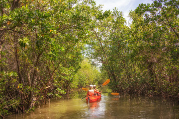 Scenic canoe on lake with trees 