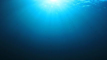 Underwater blue background in sea	