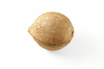 coconut fruit whole in white background