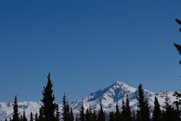 winter mountains snow sky blue sky trees openstock opensky forest peak nature beautiful alaska