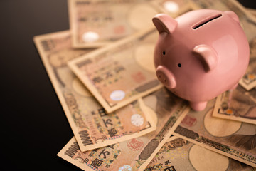 豚の貯金箱とお金のイメージ