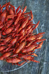 Crawfish cooked and served on wooden background