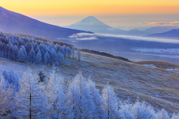 霧ヶ峰の霧氷と朝焼けの富士