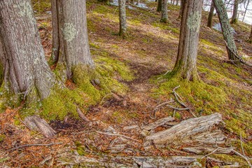 Mouth of the Amnicon River in Northern Wisconsin