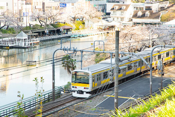 Fototapeta premium 飯田橋 外堀公園から見た風景