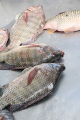 Fresh fish for cooking at street food