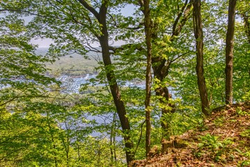 Fototapeta premium Great Bluffs State Park is located in South East Minnesota