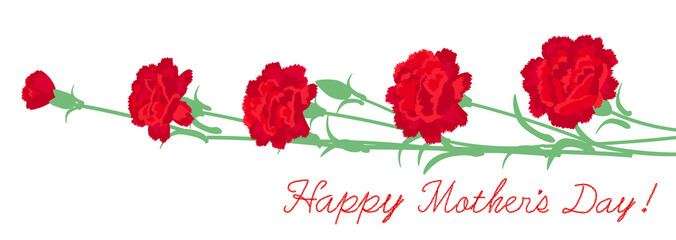 母の日のカーネーション