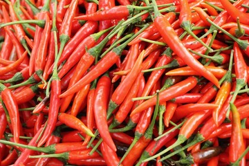 Fresh chilli for cooking at street food