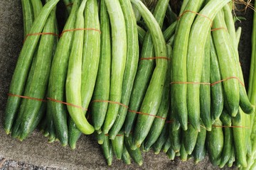Fresh cucumbers for cooking in the market