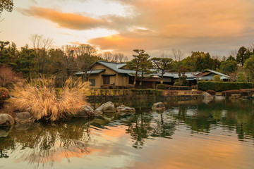 Fototapeta premium すすきのある庭園