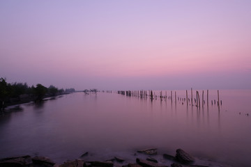 Wooden piles row in the sea in sunrise time.