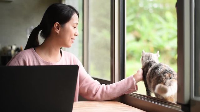 woman working and play with her cat