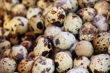 Quail eggs with sauce in street food
