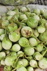 Fresh eggplant green organic at street food