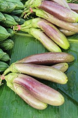 Fresh eggplant purple organic in the market