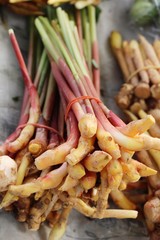 Fresh galangal for cooking in the market