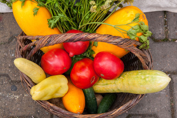 Autumn harvest: basket with vegetables, peppers, zucchini, tomatoes, parsley