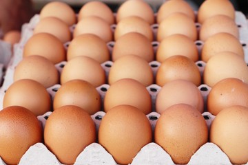 Egg in the panel at the market