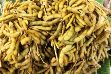 Green japanese soybean delicious at street food