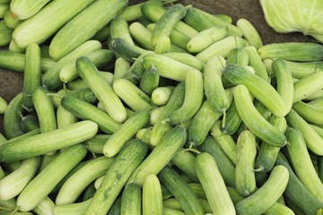 Fresh cucumbers for cooking in the market