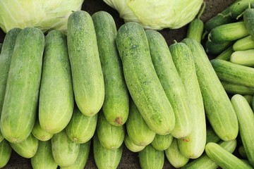 Fresh cucumbers for cooking in the market