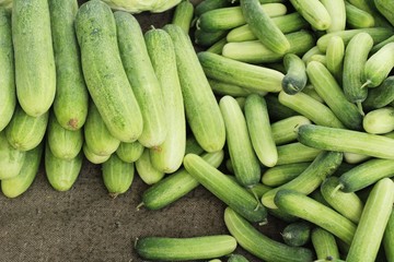 Fresh cucumbers for cooking in the market