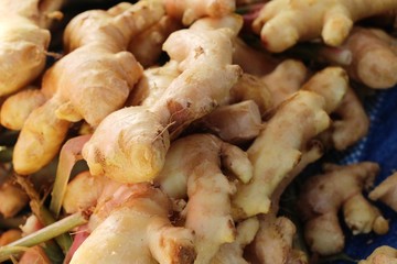 Ginger root for cooking in the market.