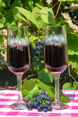 Wine glass with red wine on the table. Two full wineglass with a ripe grapes, a vineyard on background.
