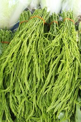 Acacia pennata for cooking at street food