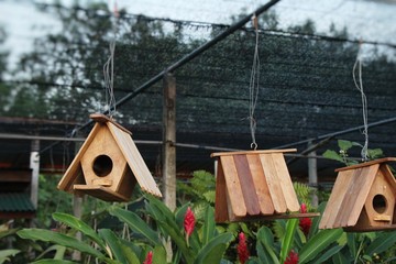Wooden bird house with the nature