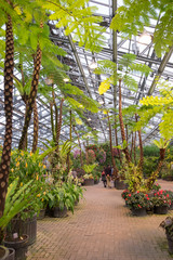 Nagoya, Japan-March 15, 2018, Begonia Garden, Nabana no Sato at Nagashima spa land, Nagoya, Japan.