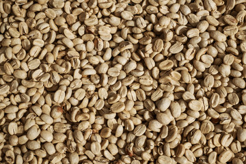 Background Texture of Dried coffee beans