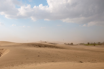 Fototapeta na wymiar Dust storm in the desert 