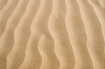 Fototapeta na wymiar Sand ripples texture and background 