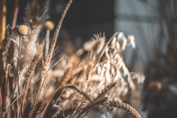 Wheat in bag background