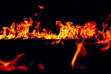 Fire flames on a black background